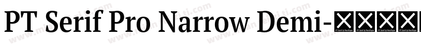 PT Serif Pro Narrow Demi字体转换